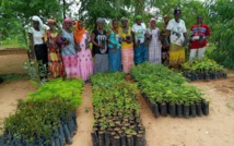 Farming & Cultivation