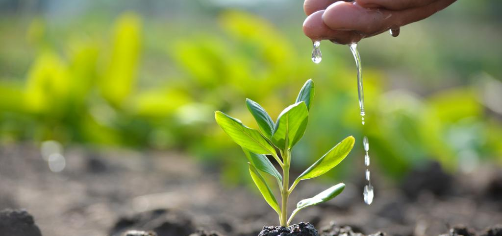 Sustainability Practices