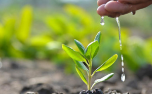 Sustainability Practices