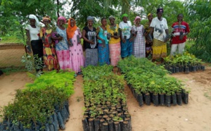 Farming &amp; Cultivation