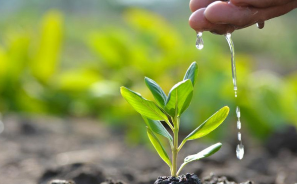 Sustainable Practices