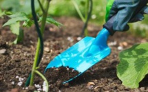 Favoriser l'innovation et développer des solutions stratégiques à travers une recherche et développement de pointe"